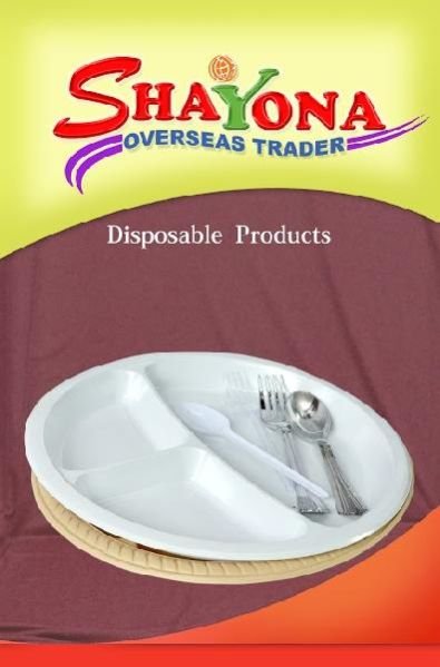 Paper and Plastic Disposable Product 17
