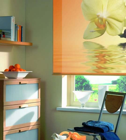 Customize Roller Blinds 05