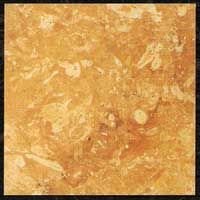 Golden Flower Sandstone