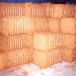 Coir Fibre- 03