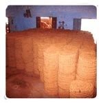 Curled Coir Rope- 02