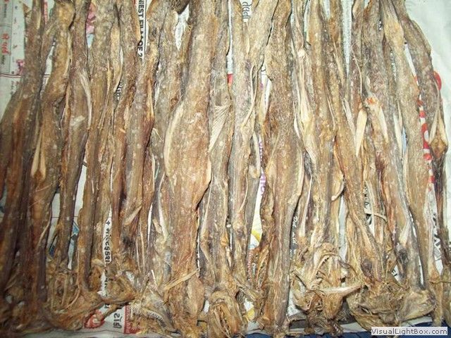 Dried Fish 02