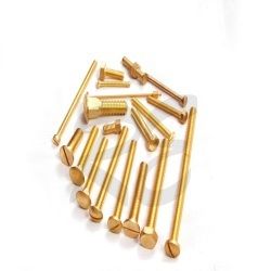 Brass Screw