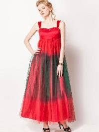 Stylish & Trendy Gown 09