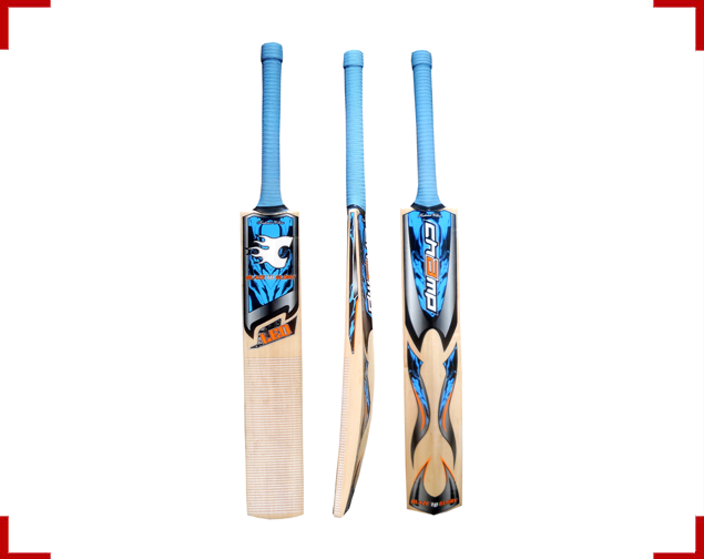 LEO Kashmir Willow Cricket Bat