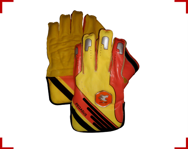 Pegasus Cricket Wicket Keeping Gloves