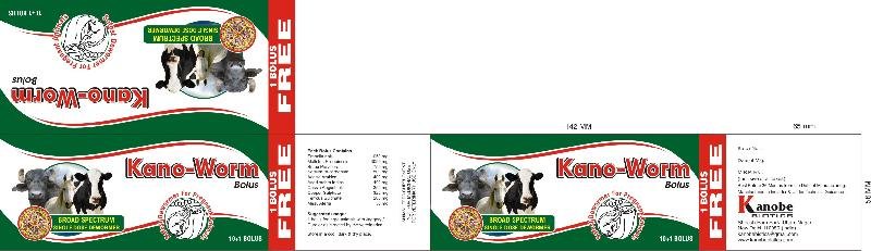 Kano Worm Bolus 02