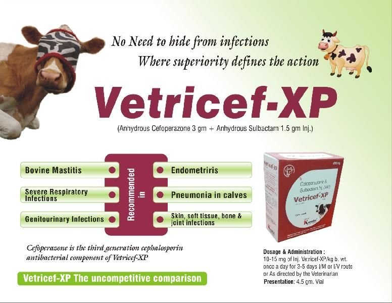 Vetricef - XP Injection 01