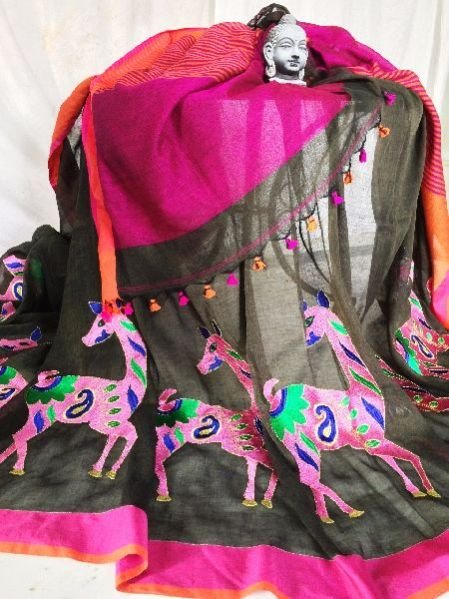 Resham Embroidery Saree 02