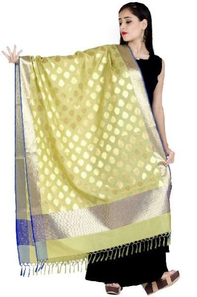 Dupatta Silk Saree 03