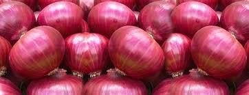 Fresh Onion 02