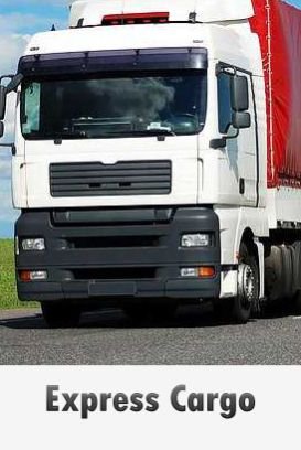 Express Cargo Services  01