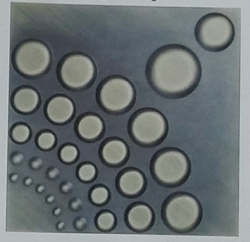 1817 Decorative Bronze Wall Panel