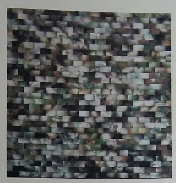 8113 Shell Mosaic Tile