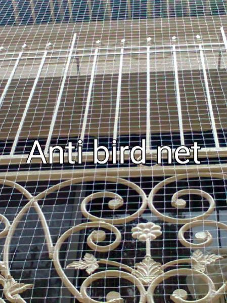Bird Net 03
