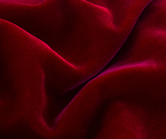 Taffeta Fabric 02