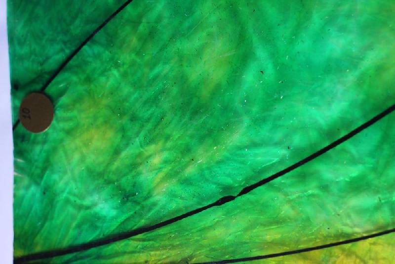 Green Yellow Designer Fiberglass Sheet