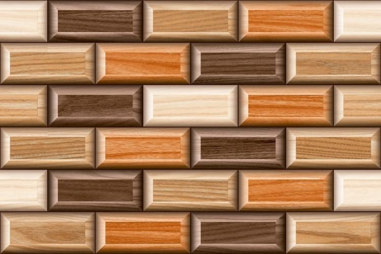 300 X 450 mm Elevation Digital Wall Tile (5004)