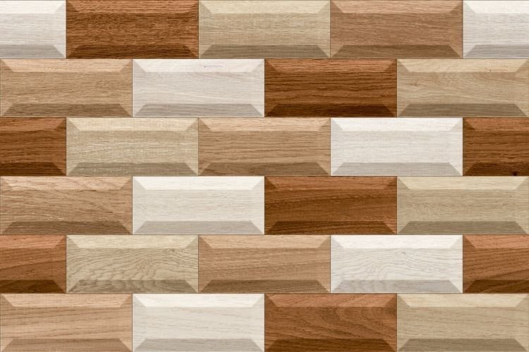 300 X 450 mm Elevation Digital Wall Tile (5006)