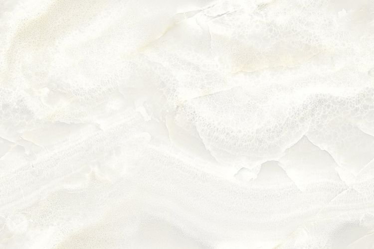 300 X 450 mm Glossy Digital Wall Tile (1009 L)