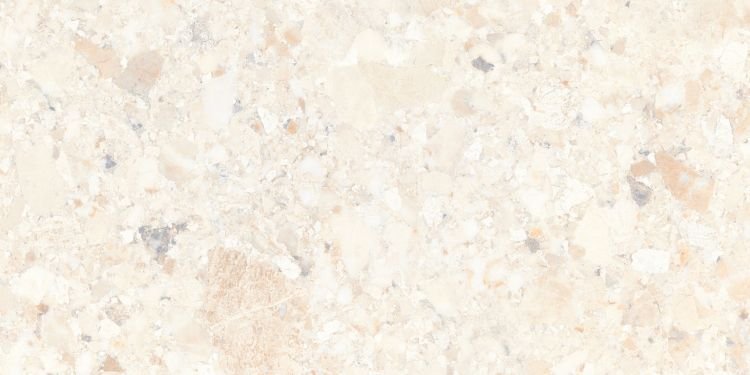 300 X 600 mm Glossy Digital Wall Tile (2422 L)