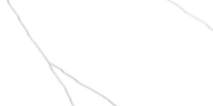 300 X 600 mm Glossy Digital Wall Tile (2423 L)