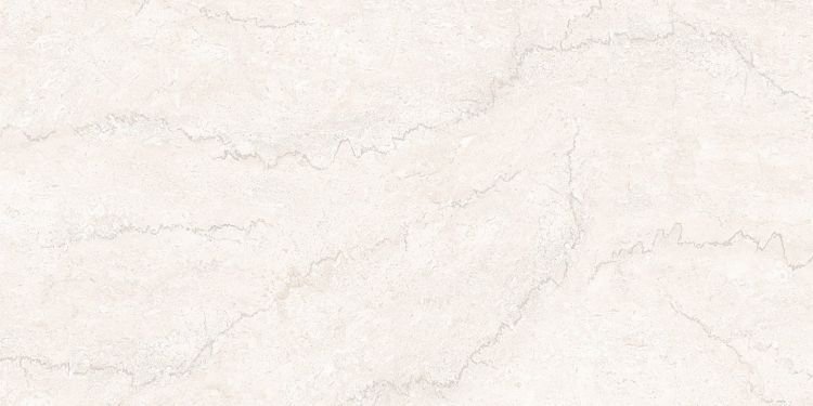 300 X 600 mm Glossy Digital Wall Tile (2430 L)