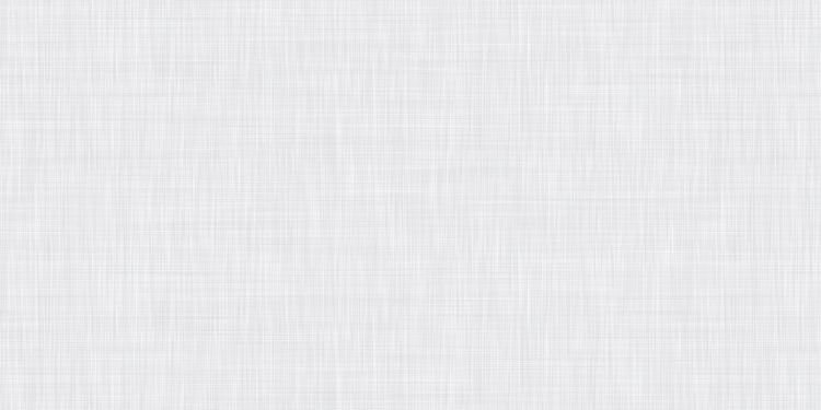 300 X 600 mm Glossy Digital Wall Tile (2448 L)