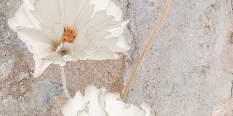 300 X 600 mm Matt Digital Wall Tile (2602 HL2)