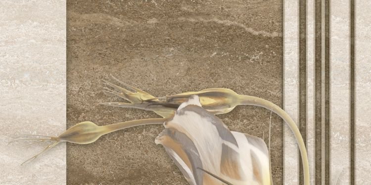 300 X 600 mm Matt Digital Wall Tile (2603 HL1)