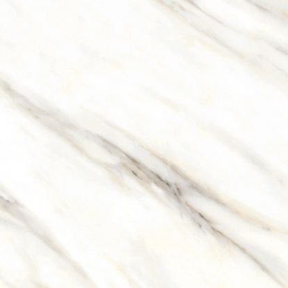 Porcelain Tile (1001)