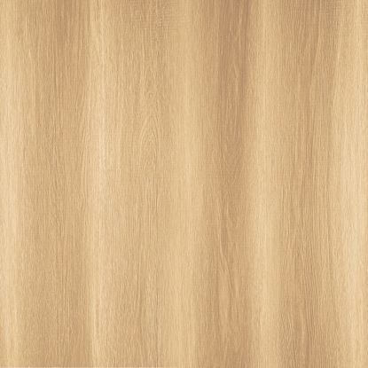 Porcelain Tile (1004)