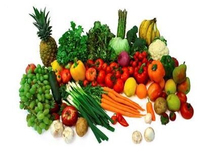 Tricox Eco Friendly Plant Protector 02