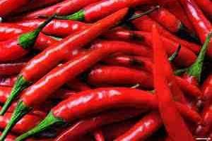 Fresh Red Chilli