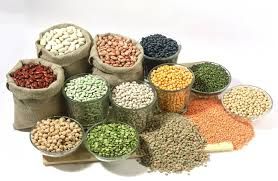 Indian Pulses 02