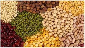 Indian Pulses 03