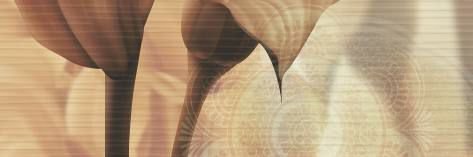 12001 HL C 750x250  Glossy Wall Tiles