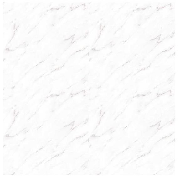 3004 600X600 Glossy Wall Tiles