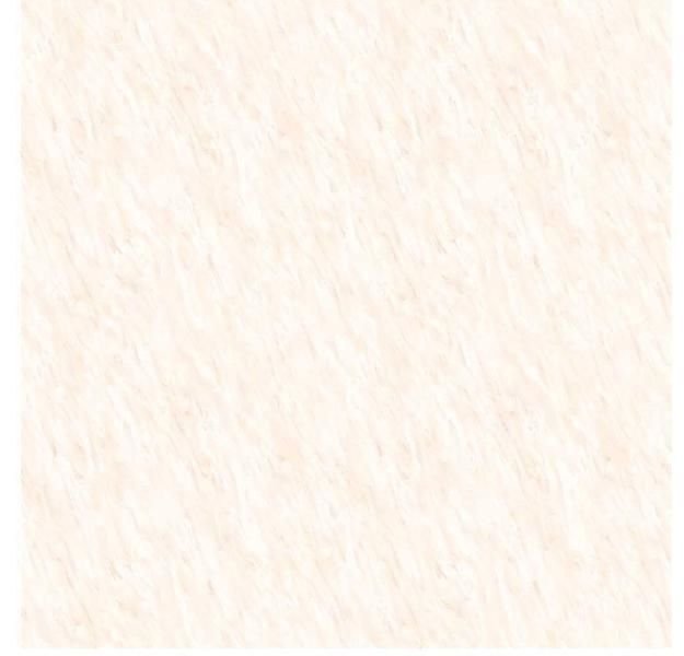 3005 600X600 Glossy Wall Tiles