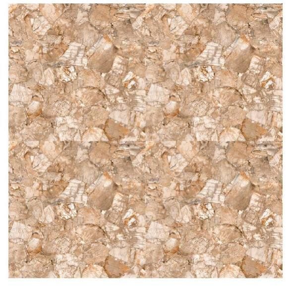 3006 600X600 Glossy Wall Tiles