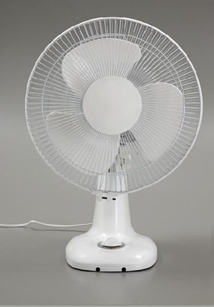 12 Inch Table Fan