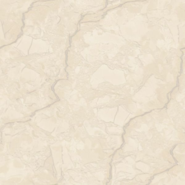 Vitrified Tiles 06