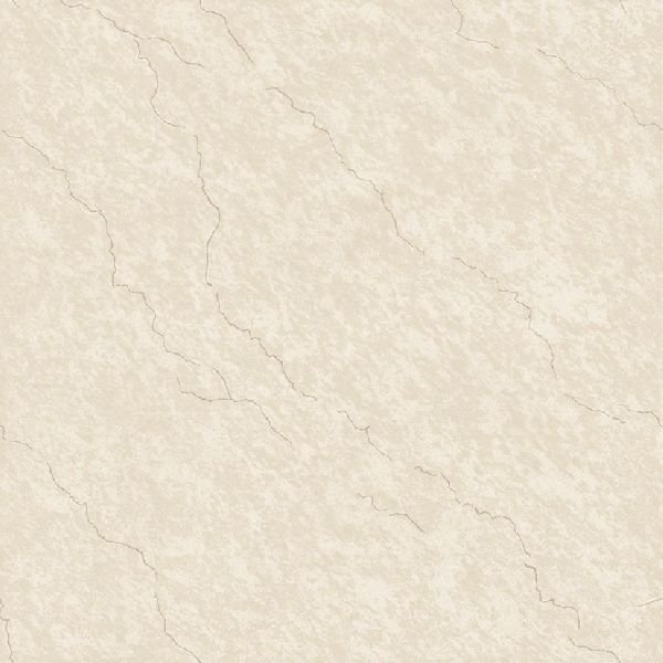 Vitrified Tiles 12