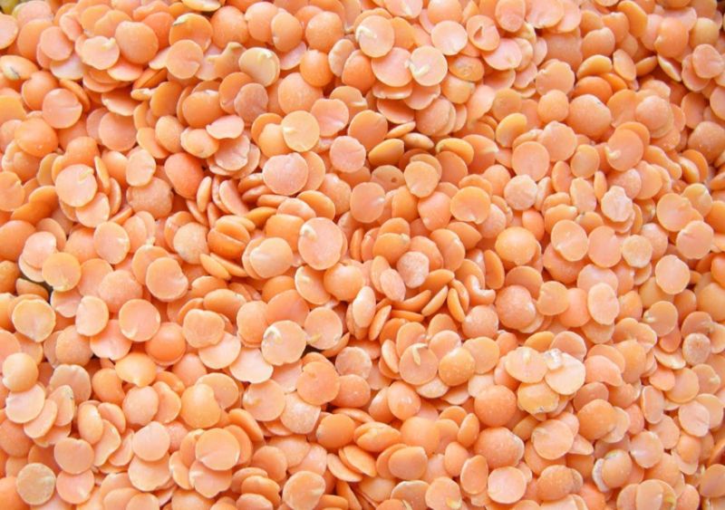 Masoor Dal 01