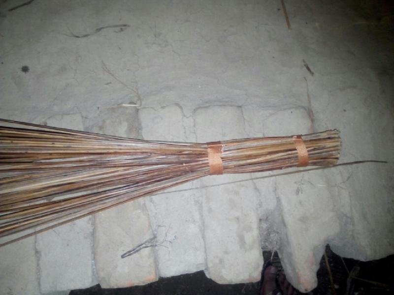 Coconut Broom 03