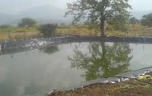 Pond Lining Film 02