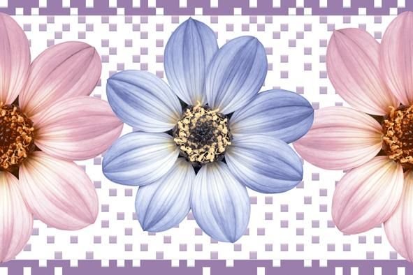 250 x 375 mm Digital Wall Tiles (1015914-HLA)