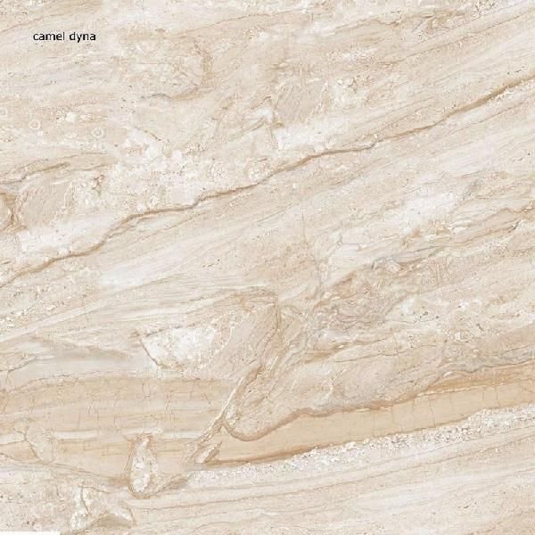 Camel Dyna