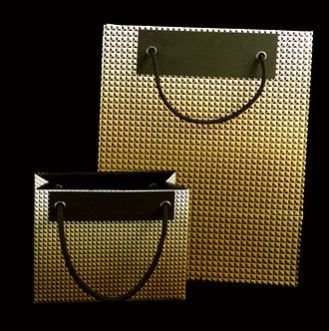 Designer Paper Bag 02