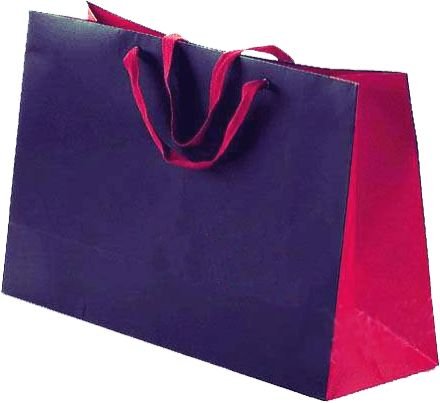 Designer Paper Bag 03